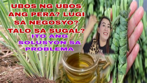 talo sa sugal in english|SA SUGAL Meaning in English .